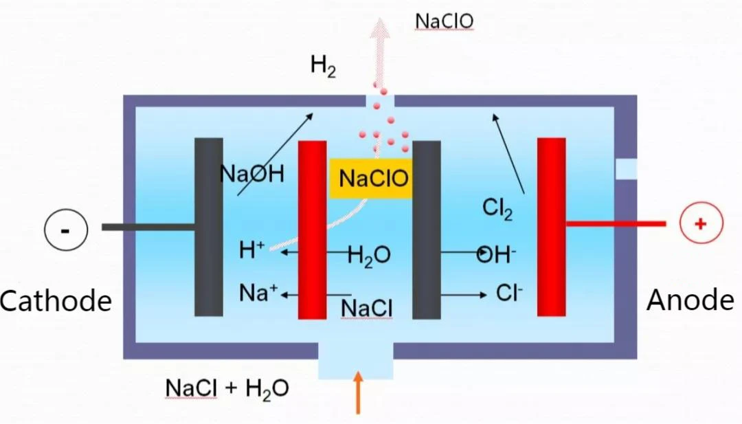 R-C (5)